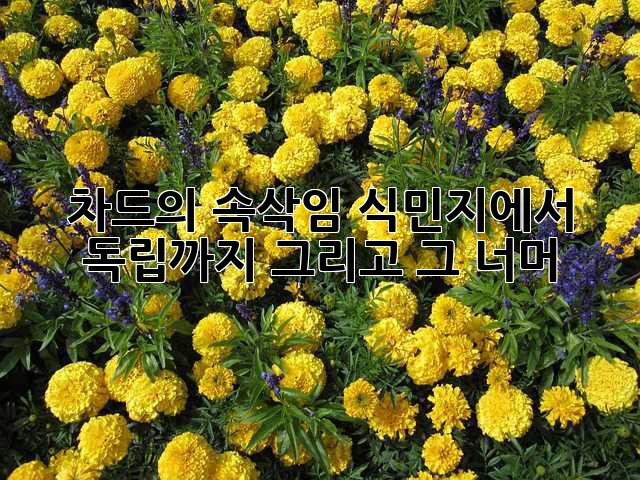 223198acb8be908e5621edebc498320a.jpg
