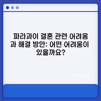 e3ab114b71b06b410e2401ffdaa05faf.jpg
