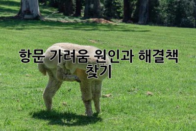 항문 가려움? 원인과 해결책 찾기