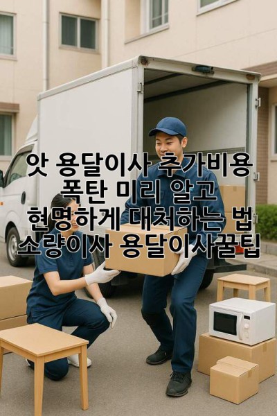 앗!😲 용달이사 추가비용 폭탄💣? 미리 알고 현명하게 대처하는 법! #소량이사 #용달이사꿀팁