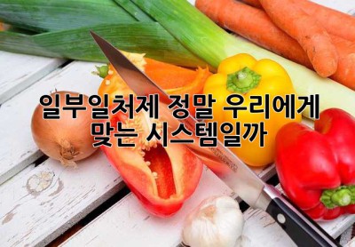 일부일처제, 정말 우리에게 맞는 시스템일까? 🤔