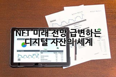 NFT 미래 전망: 급변하는 디지털 자산의 세계