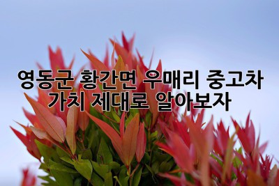 영동군 황간면 우매리 중고차 가치, 제대로 알아보자!