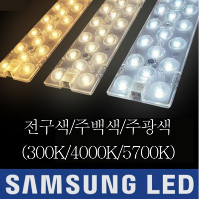 55W LED 모듈 완전 정복! 득템 꿀팁 대방출 ✨