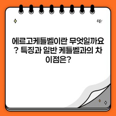 에르고케틀벨 완벽 가이드: 기능, 사용법, 효과 및 역사까지 한번에!