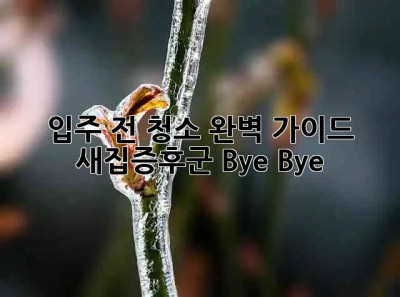 ✨ 입주 전 청소 완벽 가이드: 새집증후군 Bye Bye! 🏡