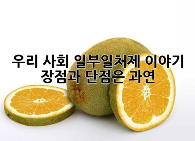 우리 사회, 일부일처제 이야기: 장점과 단점은 과연? 🤔