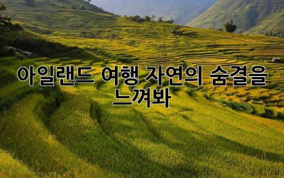 아일랜드 여행, 자연의 숨결을 느껴봐! ✨