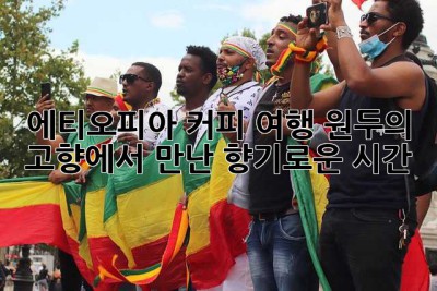 에티오피아 커피 여행: 원두의 고향에서 만난 향기로운 시간